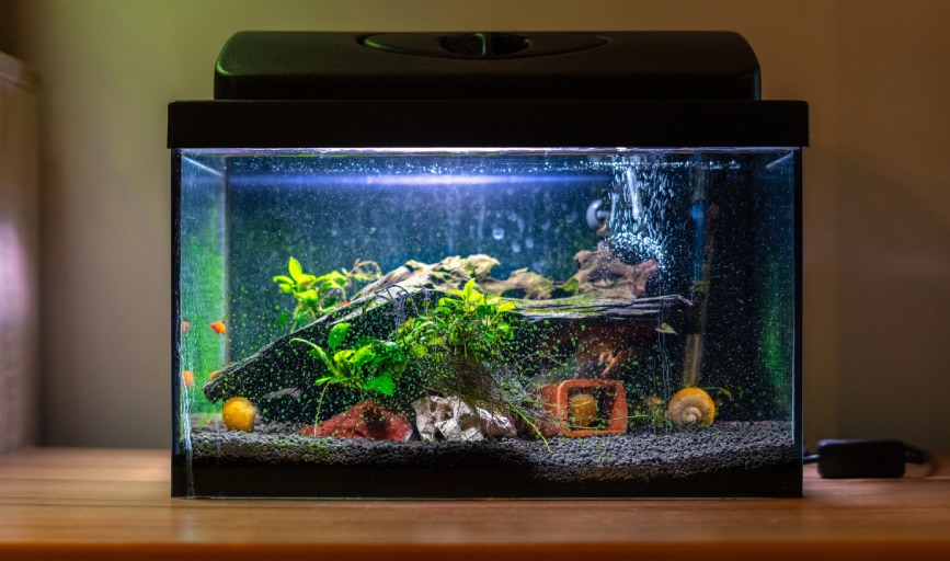 Carolina Reef CO.